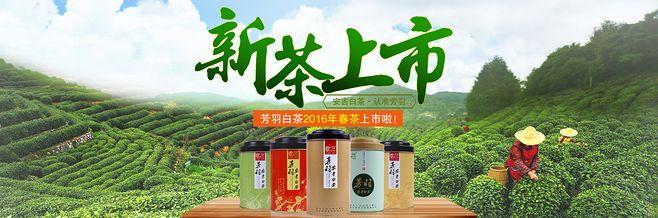 淘宝白茶店铺起名大全（好听的白茶品牌名字）