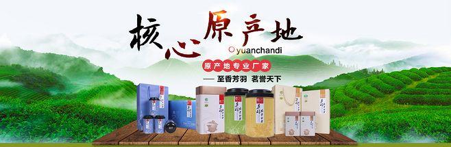 淘宝白茶店铺起名大全（好听的白茶品牌名字）