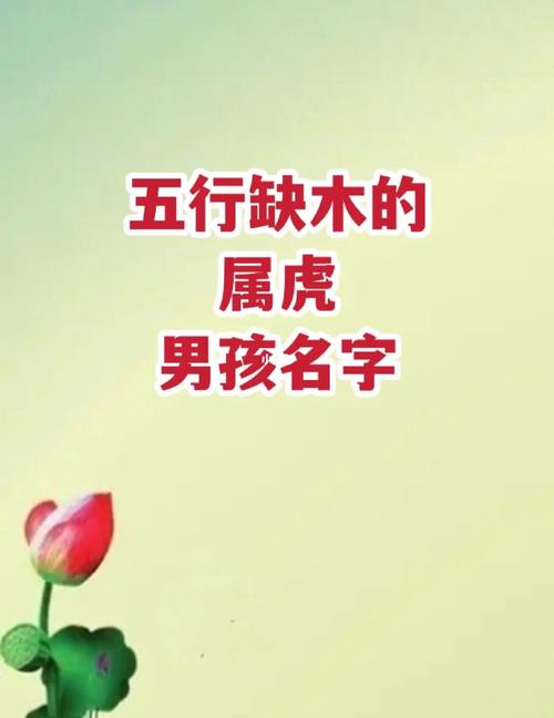 姓吴虎年宝宝起名字（姓吴属虎取什么名字）