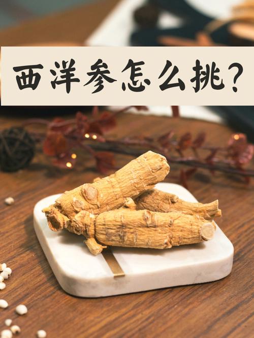 西洋参公司起名字怎么起（西洋参工校）