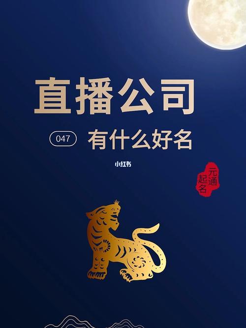 直播公司起名字怎么起（网络直播公司起名参考）