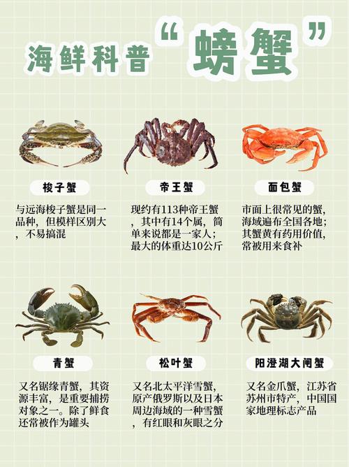海产店铺起名字大全女（海产品起什么名字好）
