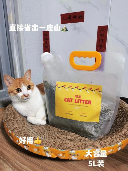 猫砂店铺起名大全集最新（猫砂卖点）