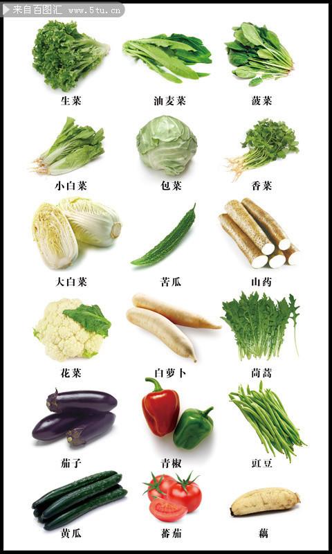 农业蔬菜类公司起名字大全（蔬菜公司取名字参考大全）