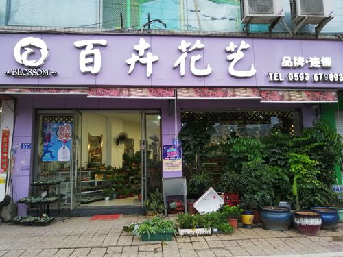 品牌花卉公司起名字怎么起（时尚好听的花卉公司名字大全）