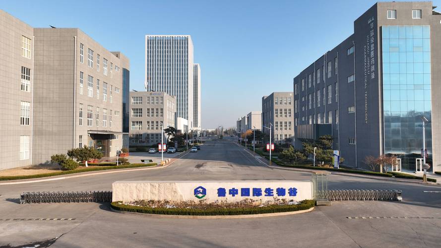 莱芜公司怎么起名字（莱芜公司怎么起名字好听）