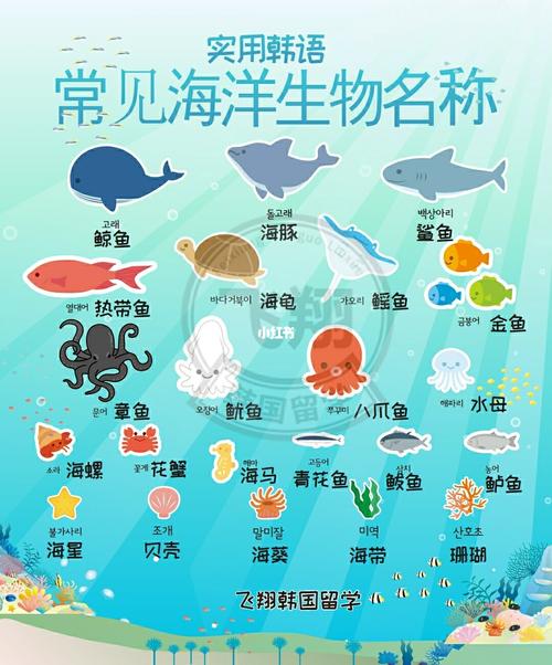 章鱼起名字大全（章鱼起名字大全男孩）