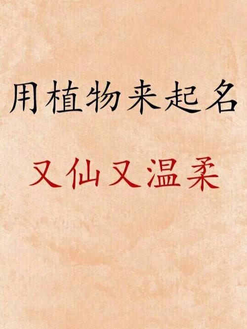 植物取名店铺起名字大全集（卖植物的店铺名）