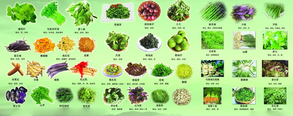 蔬菜店起名名字大全（蔬菜店起什么名字好听）