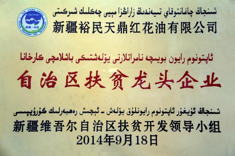 新疆企业起名字大全（起新疆特色的公司名字）