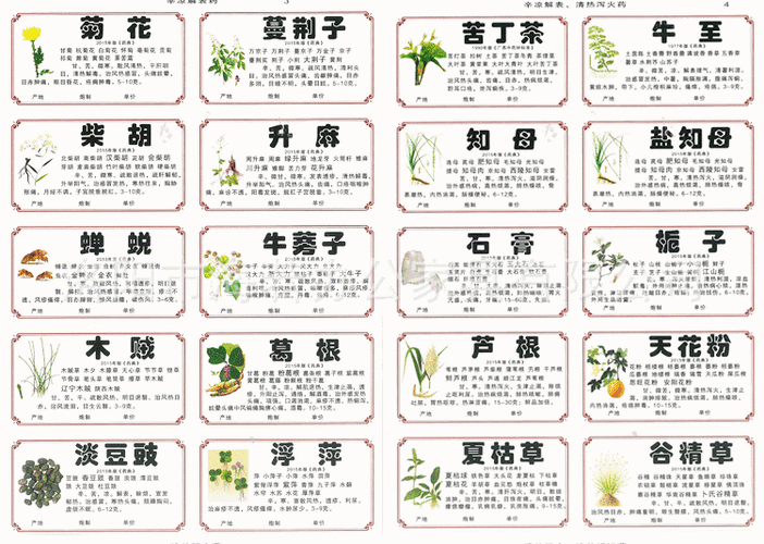 中药护肤起名字大全（中药护肤起名字大全女）