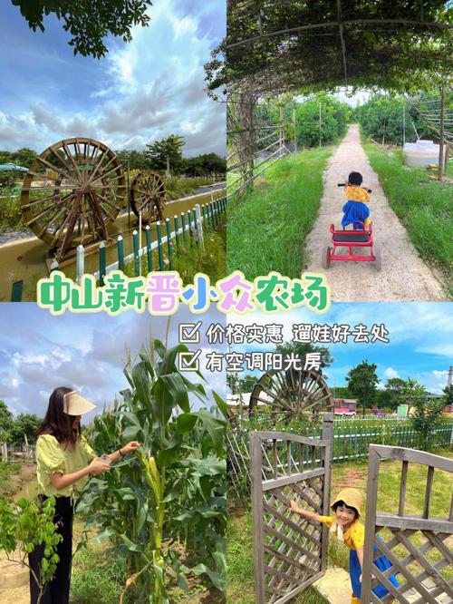 农场项目起名字大全（农场项目起名字大全四个字）