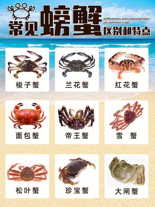 螃蟹公司起名字（大闸蟹公司名字）
