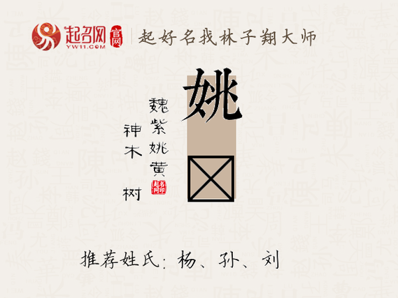电子商务公司起名字姚字怎么起（电子商务公司起名字姚字怎么起名）