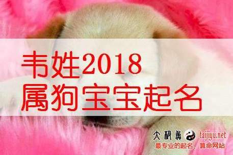 小狗起名男孩可爱名字大全（小狗起名男孩可爱名字大全三个字）