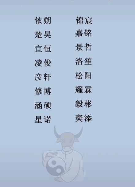 辛丑男宝宝起名字（辛丑宝宝好不好）