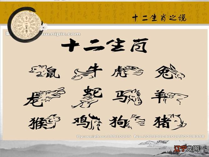 动物中药材店铺起名大全（中药店的动物是什么生肖）