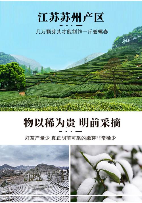 绿色茶厂起名字大全（绿茶企业名称）
