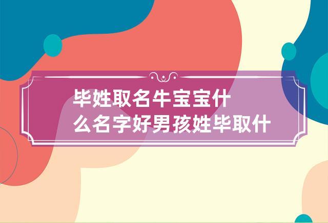 毕姓宝宝起名（毕姓宝宝起名男孩）