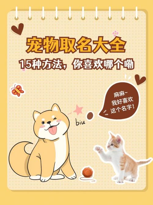 网上宠物起名字大全（宠物起名app）