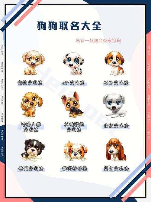 网上宠物起名字大全（宠物起名app）