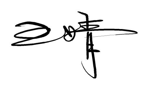 王婧起名字大全（王婧名字怎么样）