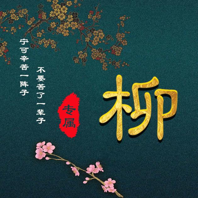 柳姓店铺起名大全女孩（带柳字的店铺名）