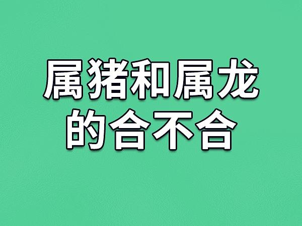 属猪和龙宝宝好吗起名字（属猪和属龙添什么宝宝好）