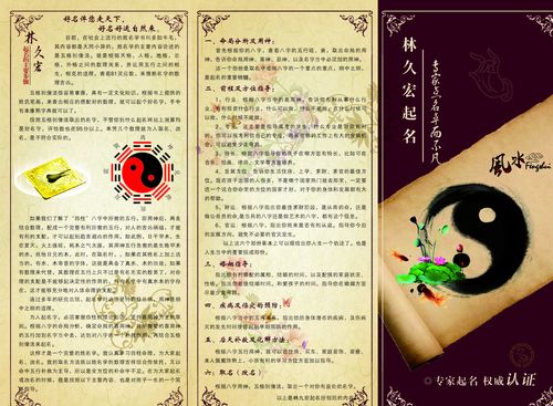 名贯四海起名字公司文案（起名公司广告语）