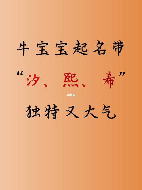 汐字取名店铺起名大全男孩（带汐字店铺名）