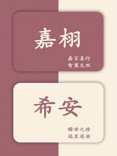 嘉字宝宝起名（嘉字宝宝起名带解释）