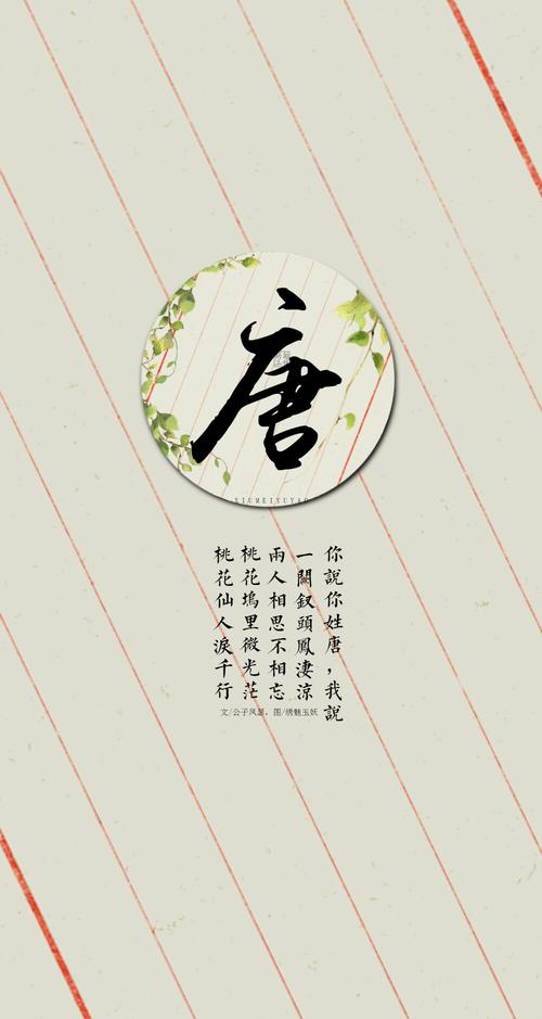 唐姓平面设计公司起名字（姓唐的个性壁纸）