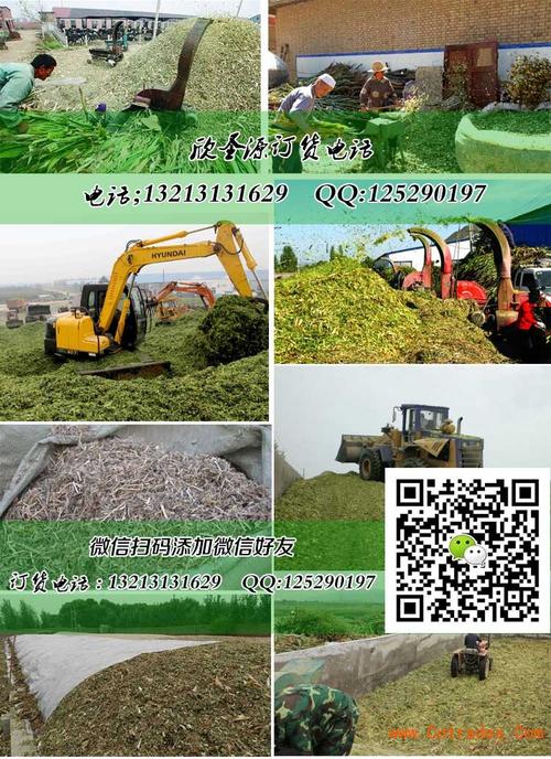 秸秆加工青储料公司起名字（青储秸秆批发）