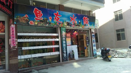 卖鱼的店铺起名字大全（卖鱼的店铺叫什么）