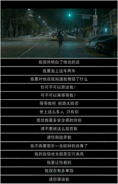 失恋33天台词_失恋33天台词 你能不能等等我