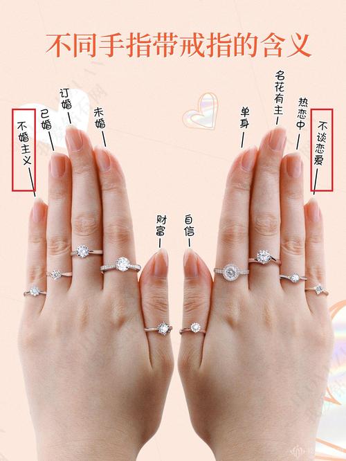 尾戒是什么意思_慰藉是什么意思