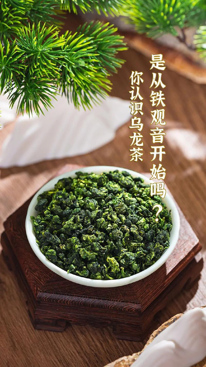 铁观音属于哪类茶_铁观音属于哪类茶系