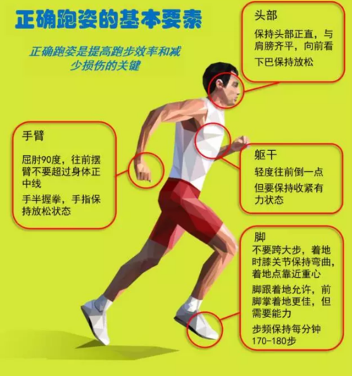 经常跑步有什么好处_经常跑步有什么好处?