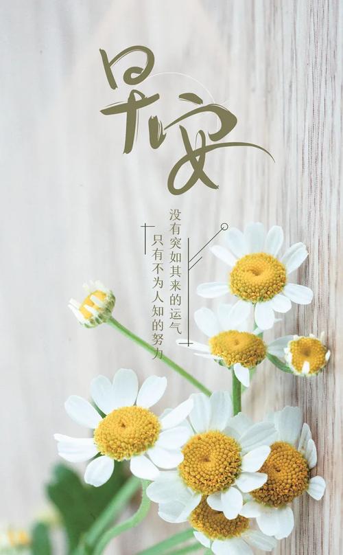 很甜很撩的早安句子_很甜很撩的早安句子,句句软萌甜炸!