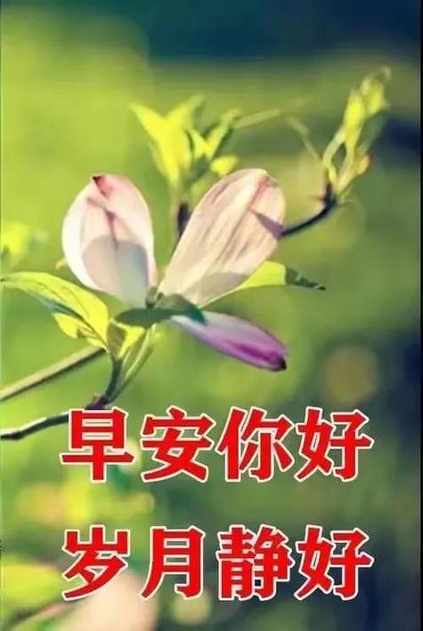 祝福语句简短唯美_祝福语句简短唯美8个字