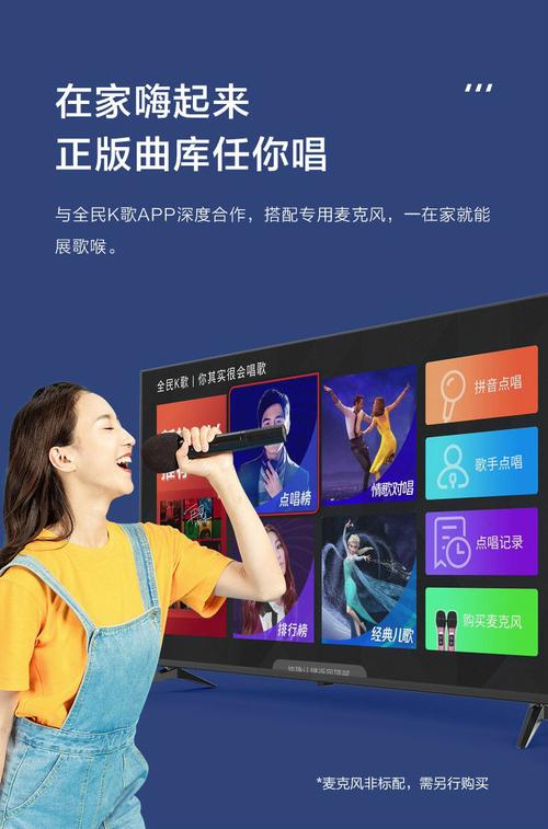 网络语音_网络语音版电视是什么意思