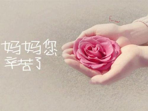 母亲节的句子简短_母亲节的句子简短不超10个字