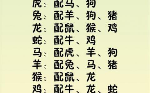 8 2_82年属什么的生肖