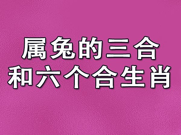 兔六_兔六个合生肖,三合