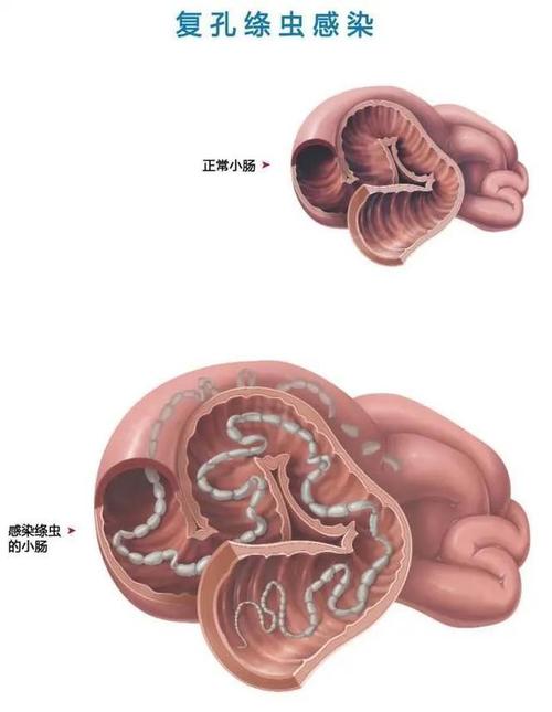 蚴_蚴怎么读