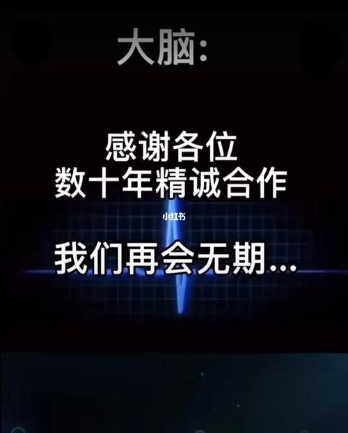 忠诚的伙伴_阿玛是最忠诚的伙伴