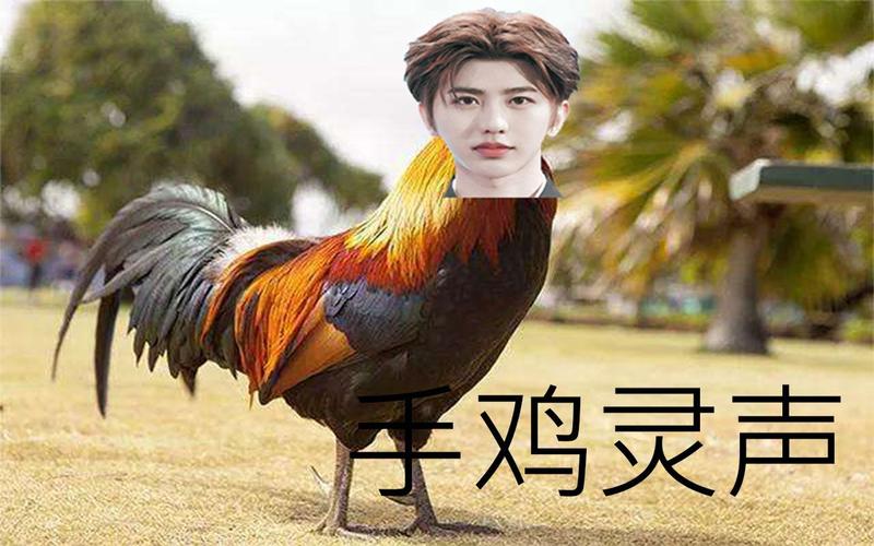 蔡徐坤图片_蔡徐坤图片鬼畜