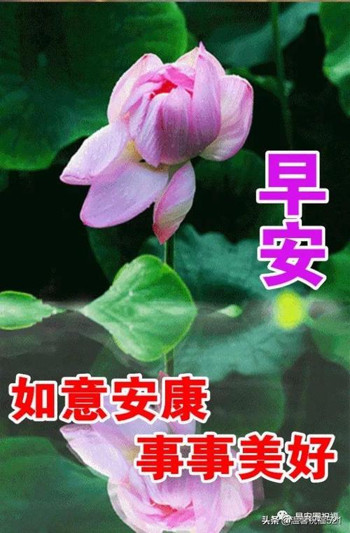 带字图片大全_带字图片大全 唯美