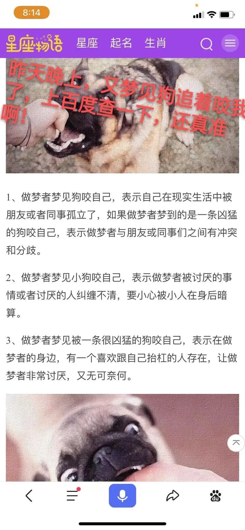 梦见被狗狗咬_女人梦见狗咬是什么预兆