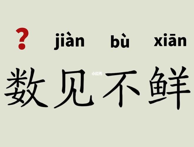 数见不鲜_数见不鲜怎么读